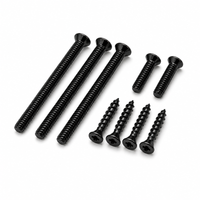 LCN 4040XP-TBTRX-693 self-reaming tapping screw pack, black finish, Torx flat-head machine and wood screws
